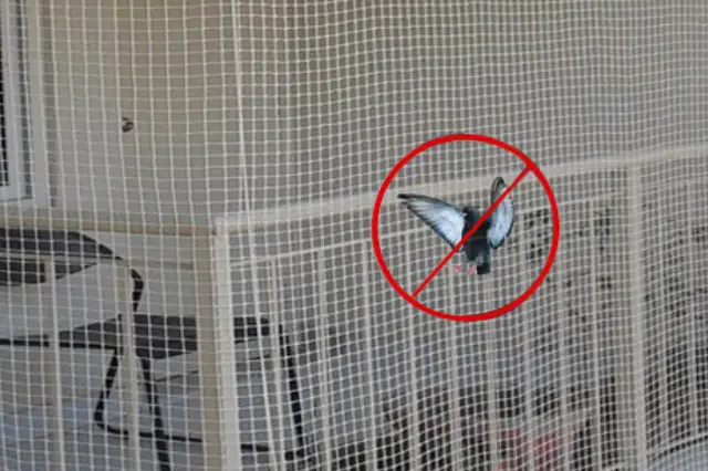 anti-birds safety nets dealers in Hyderabad