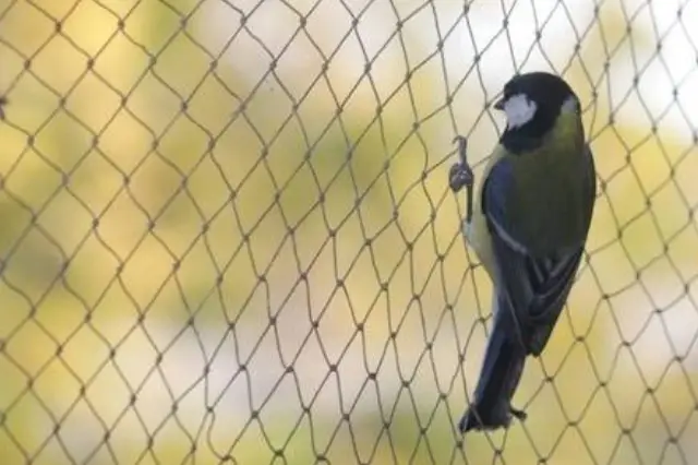 bird protection net dealers in Hyderabad